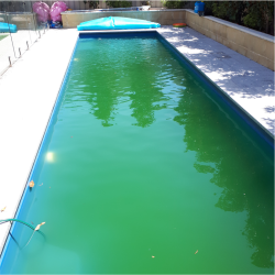 Green pool restore